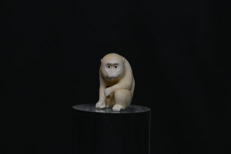 Netsuke monkey ivory
