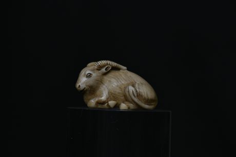 Netsuke reclining goat ivory