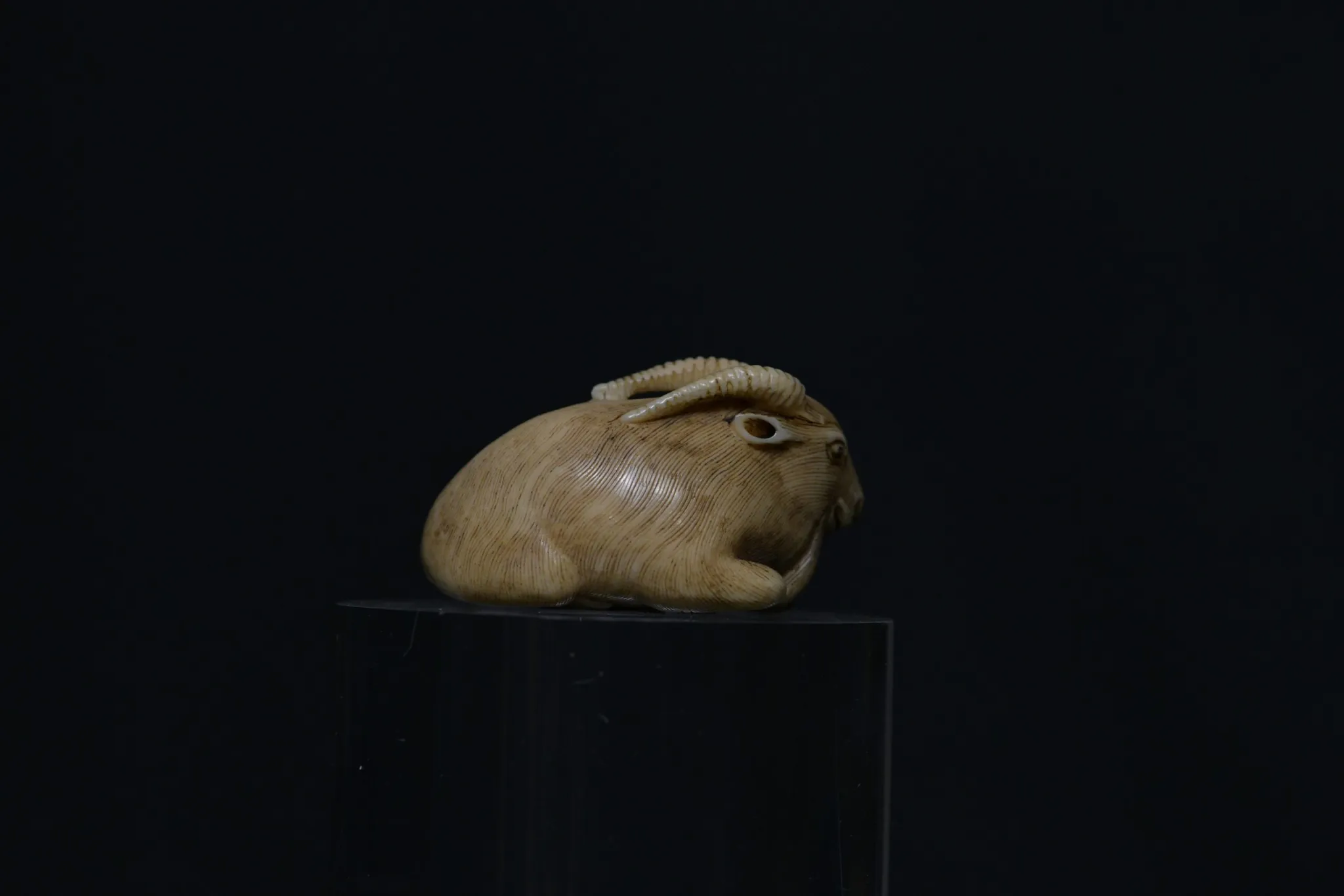 Netsuke reclining goat ivory