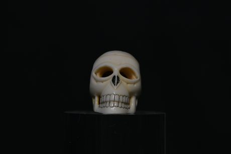 Netsuke Skull ivory