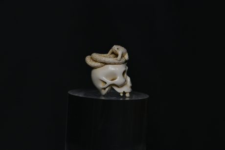 Netsuke skull snake ivory