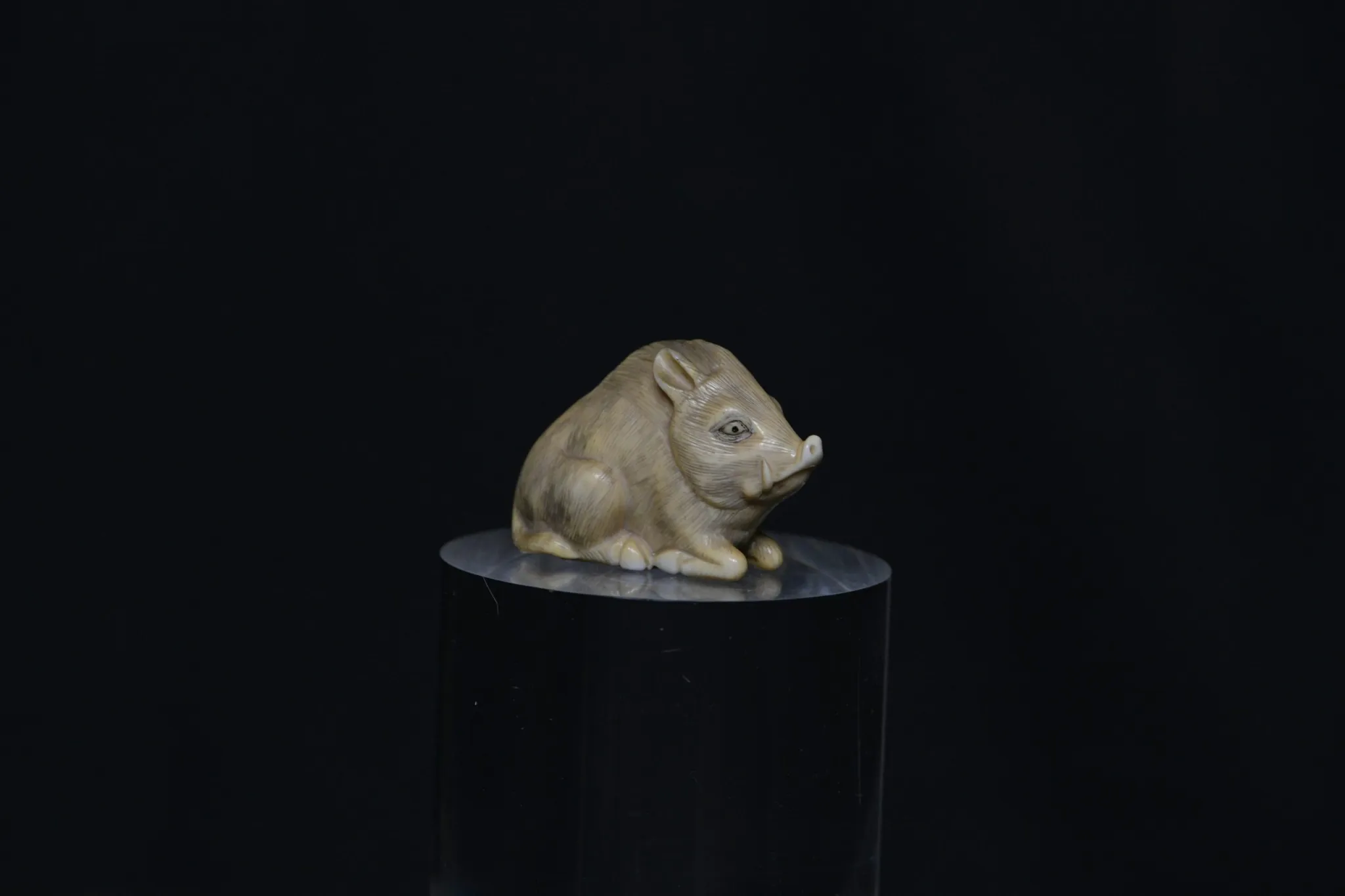 Netsuke wild boar ivory