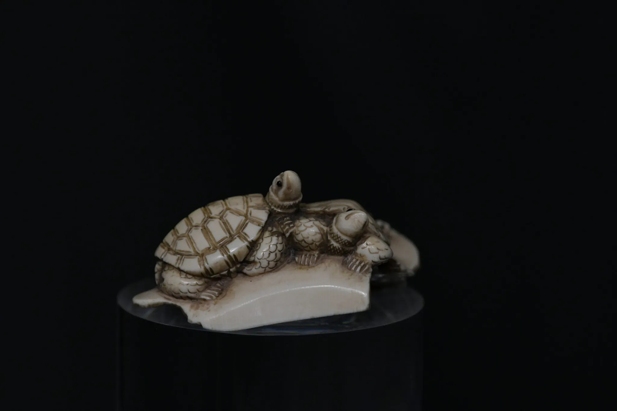 Okimono turtle family ivory