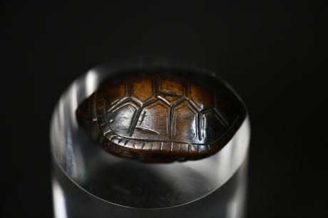 turtle wood netsuke