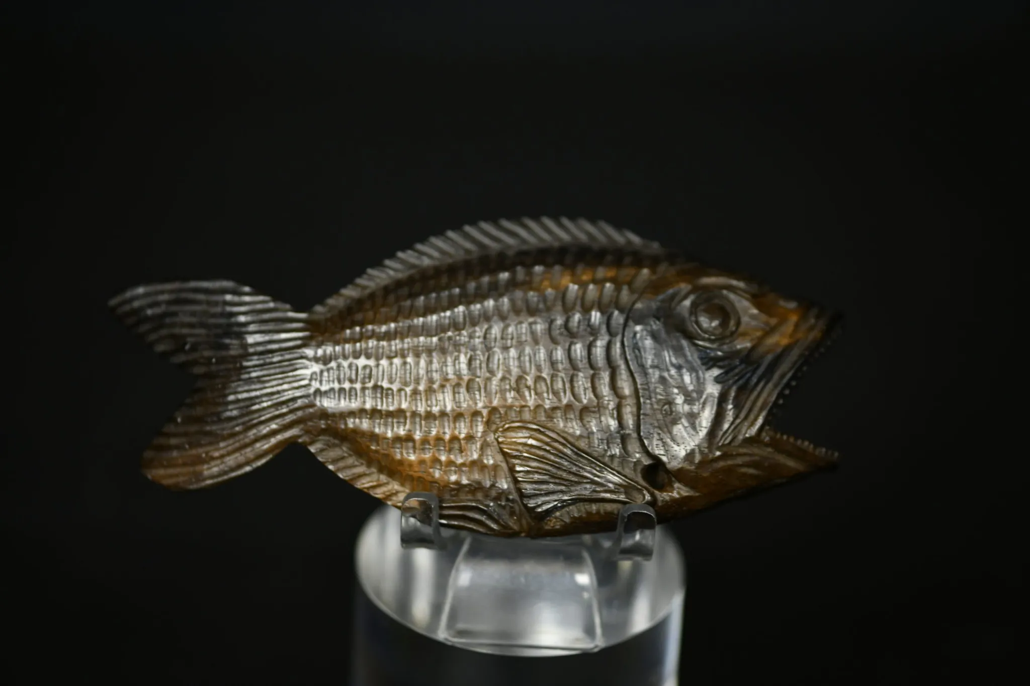 Very rare and original netsuke of a large fish, nice wood carving with a lot of detail, signed on an inset copper plate. 19th century.12,5 x 6,5 x 2 cm