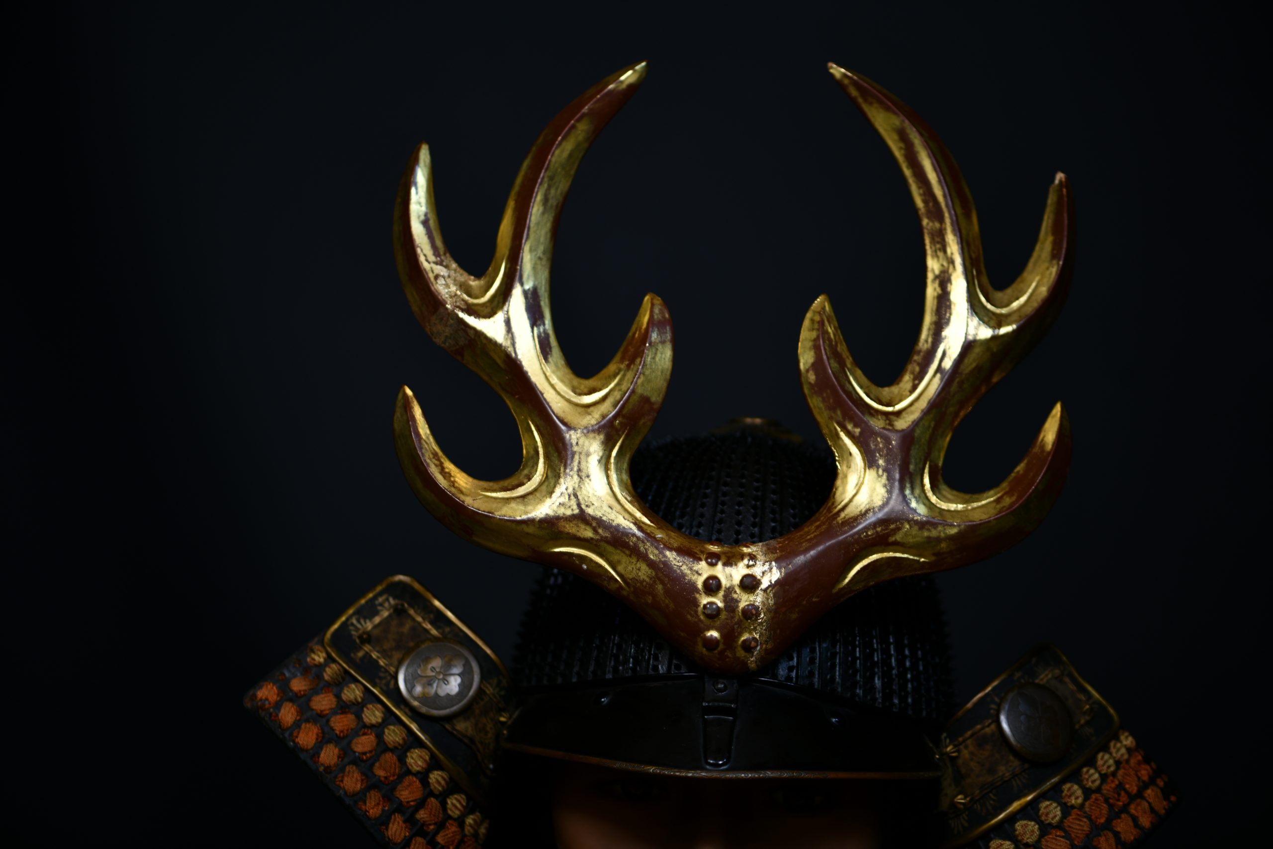 suji bachi kabuto for sale