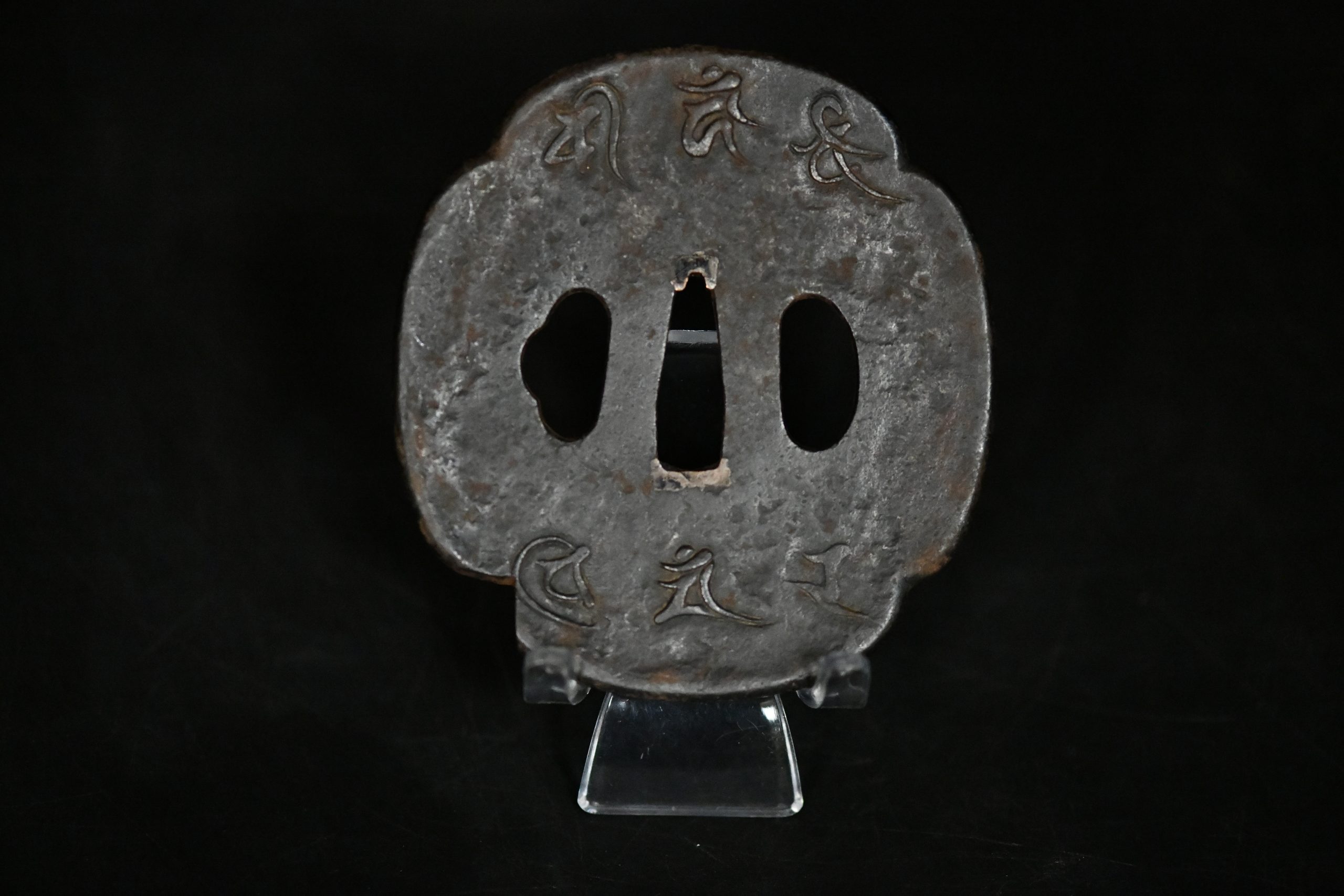 Iron dragon Edo tsuba a vendre