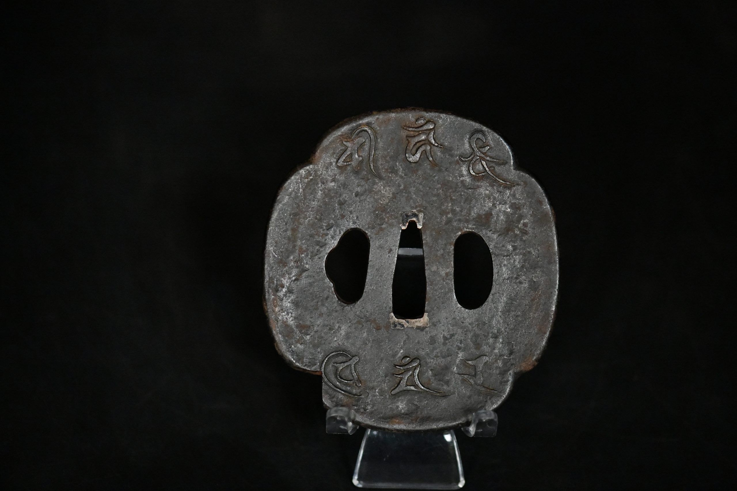 Iron dragon Edo tsuba a vendre