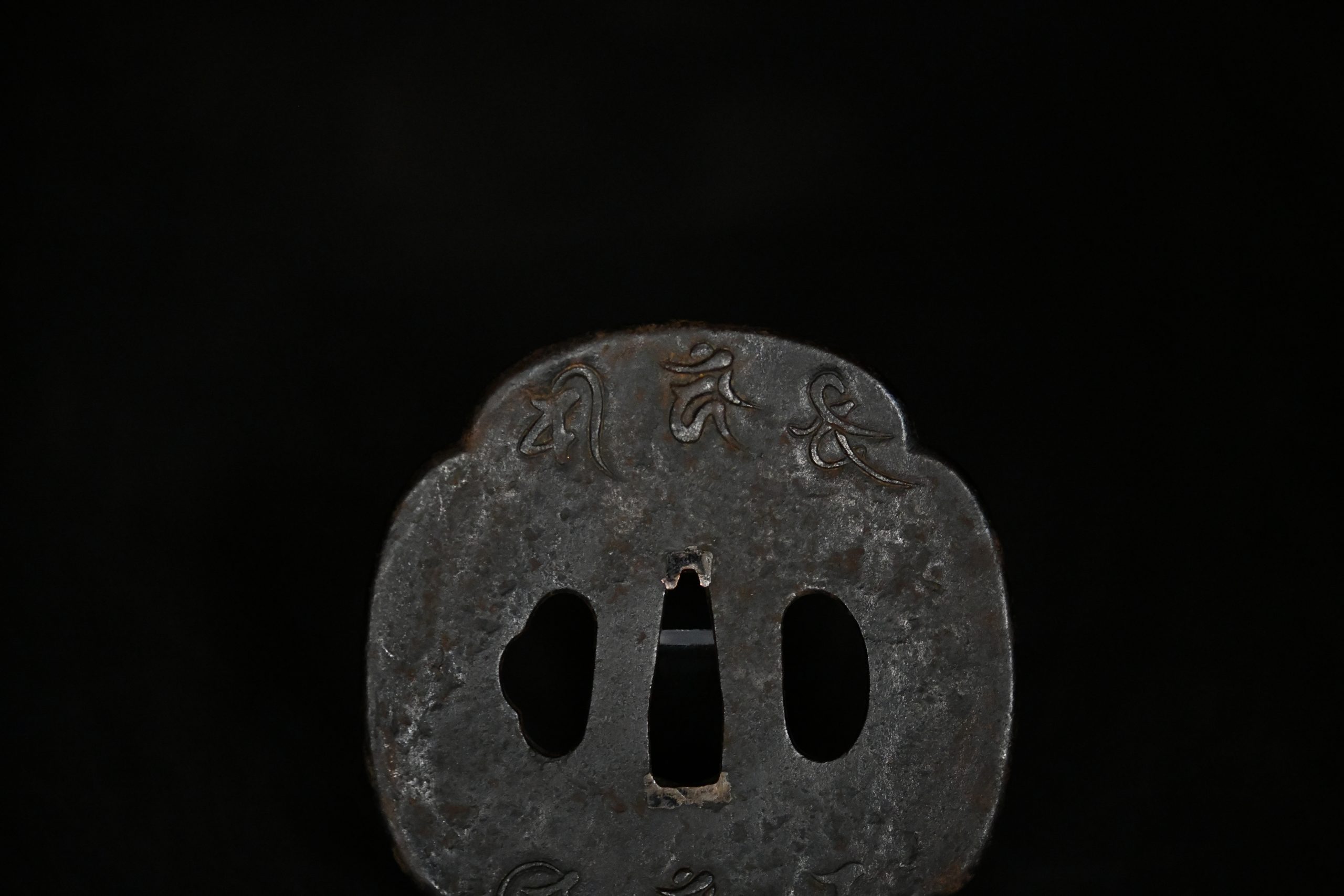 Iron dragon Edo tsuba a vendre